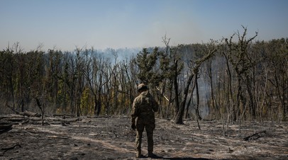 «Под видом дымовых снарядов»: в Минобороны сообщили о применении ВСУ западного химоружия в Курской области