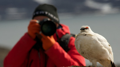 Российский фотограф победил в конкурсе Wildlife Photographer of the Year