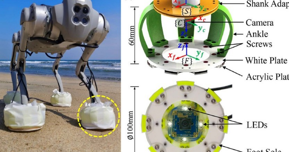 Робоступня со встроенной камерой разглядит тип грунта под прозрачной подошвой