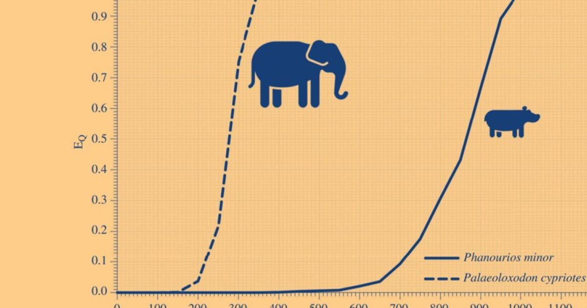 Модель предсказала быстрое вымирание карликовых бегемотов и слонов на Кипре