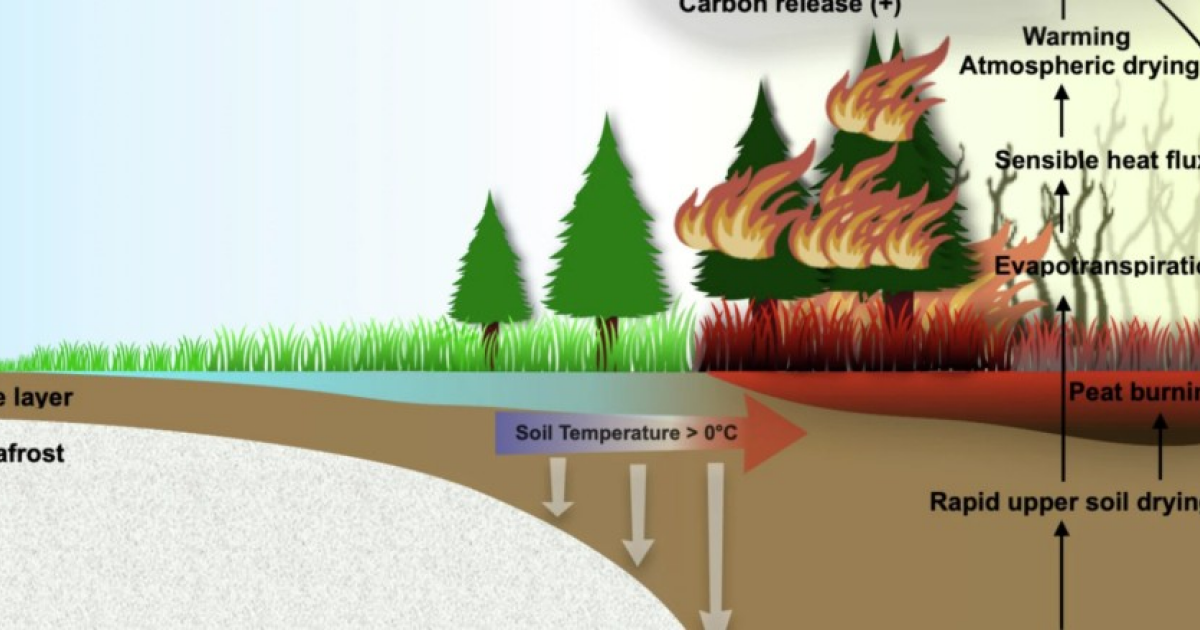 К середине века таяние мерзлоты резко усилит арктические пожары