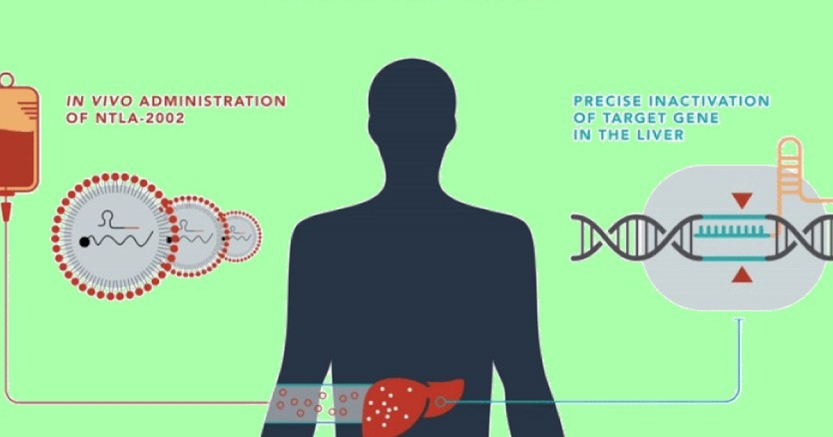 Эффективность CRISPR-терапии ангионевротического отека подтвердили во II фазе испытаний