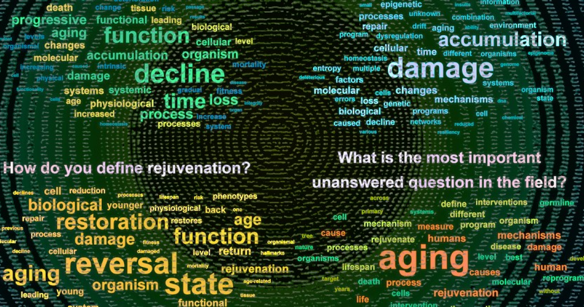 Исследователи старения разошлись в его определении и фундаментальных свойствах