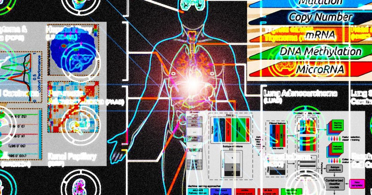 Машинное обучение упростило диагностику рака по подтипам