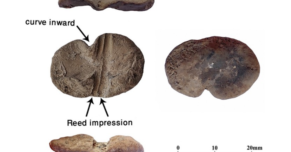 На юге Ирана нашли 9000-летние глиняные пломбы