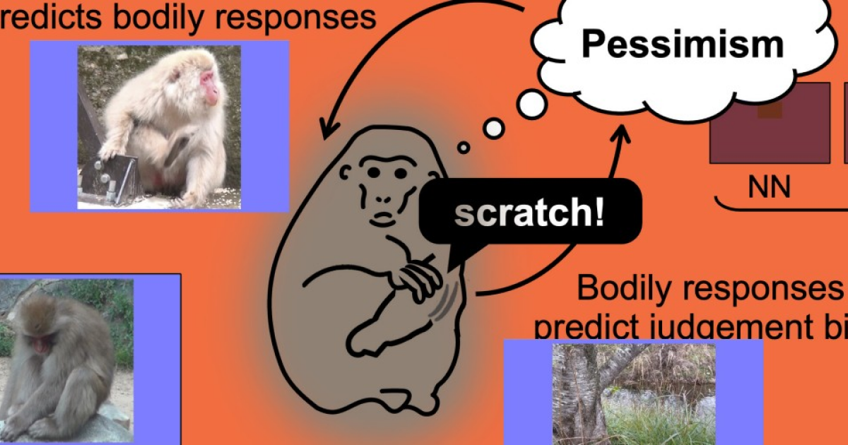 Почесывание сделало макак пессимистичными