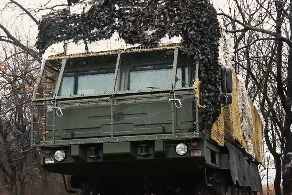 В зоне СВО заметили необычную Мальву