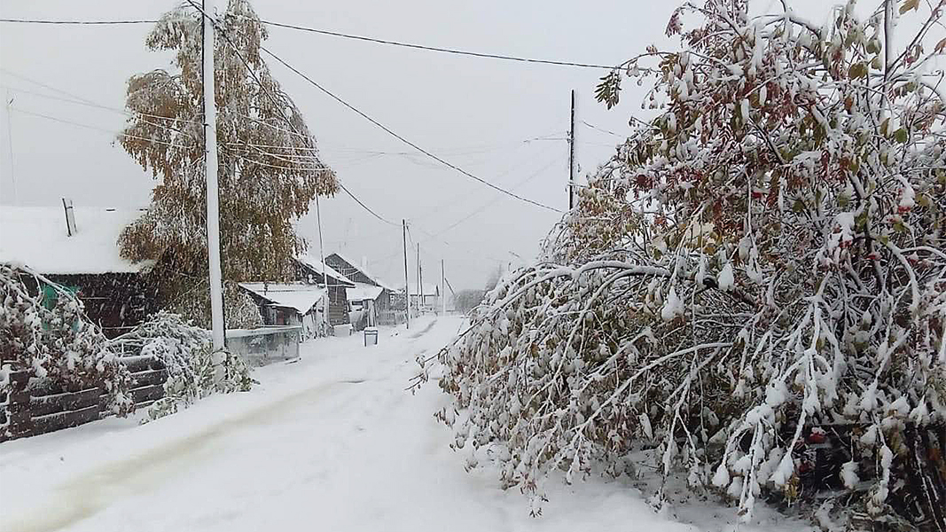 В Красноярском крае за выходные выпало 15 см снега