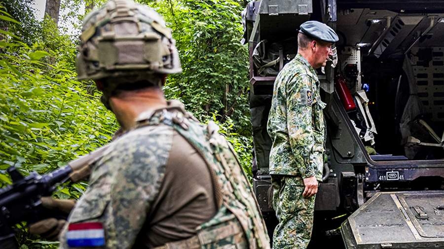 Нидерланды считают преждевременными разговоры об отправке военных на Украину