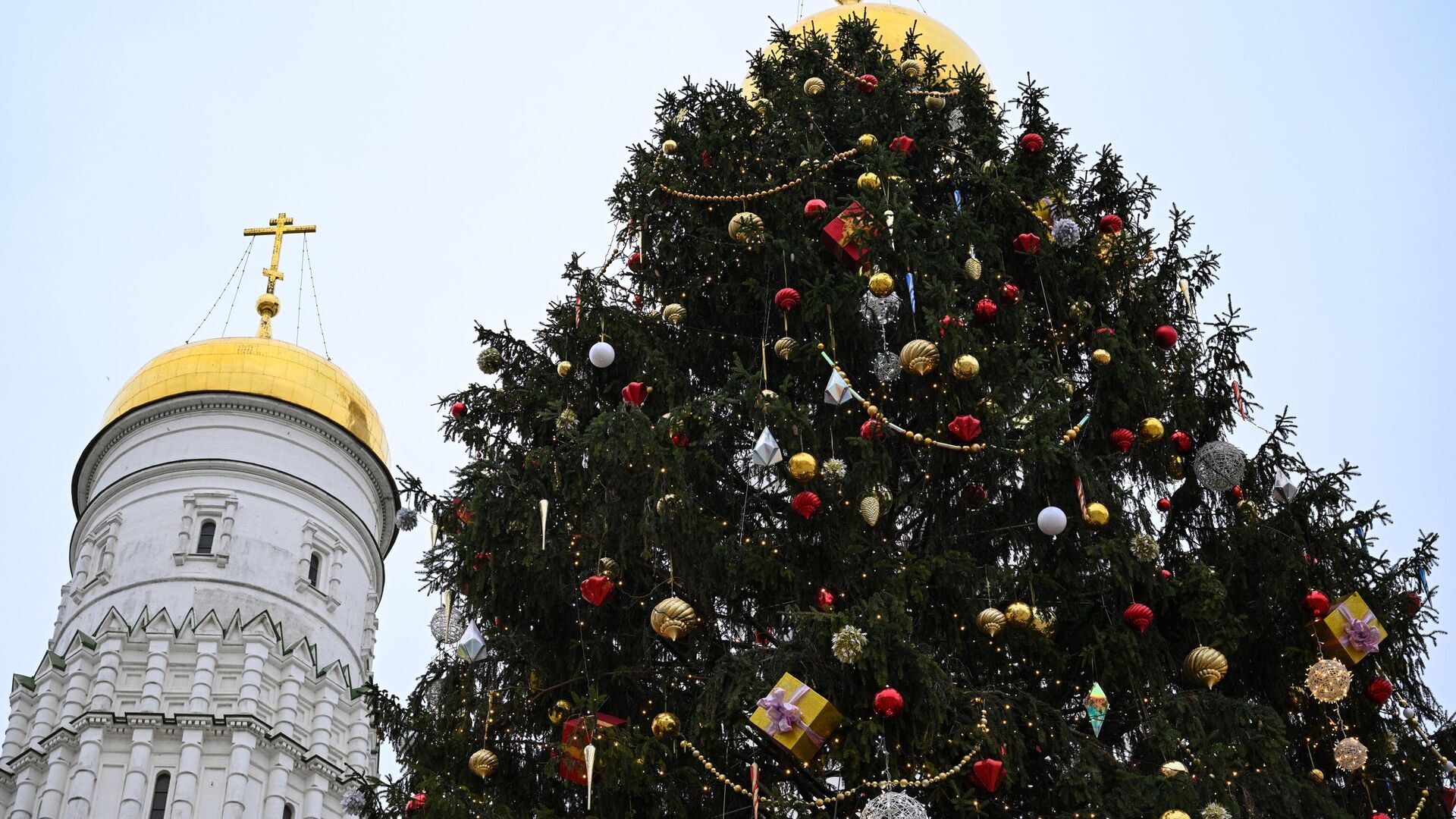 Стало известно, что изготовят из главной новогодней елки России