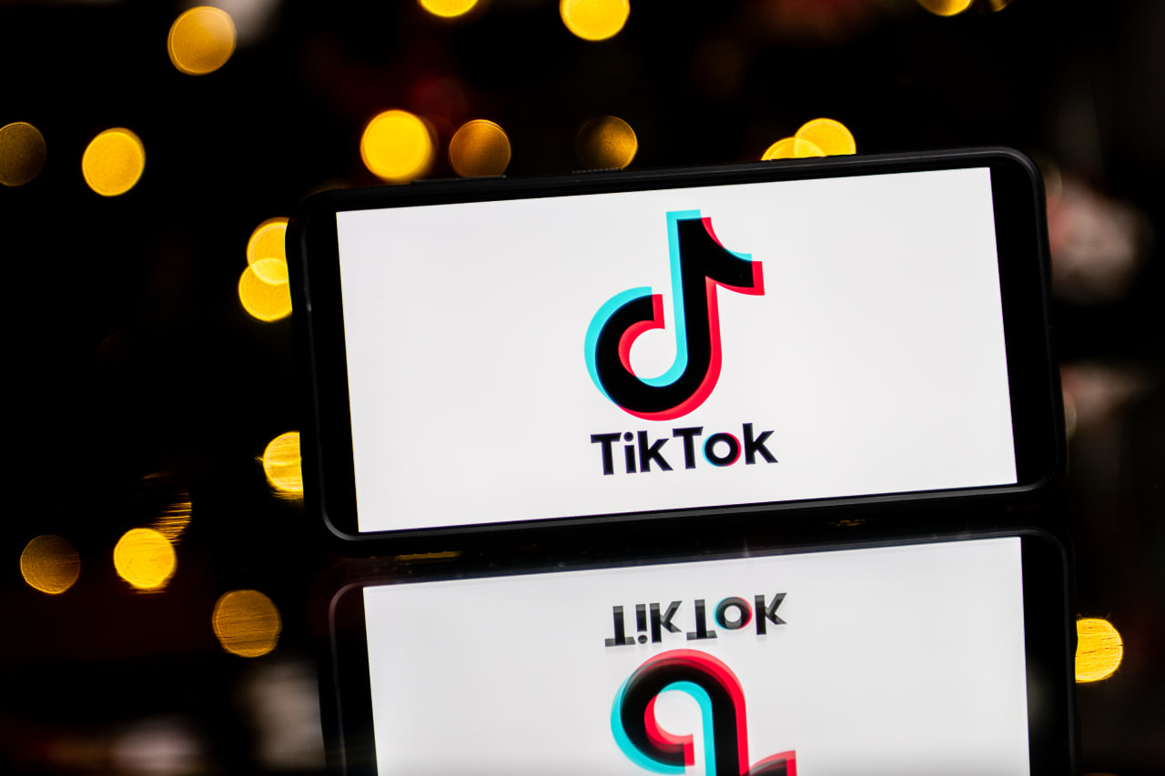 Мизулина высказалась о будущем TikTok в России