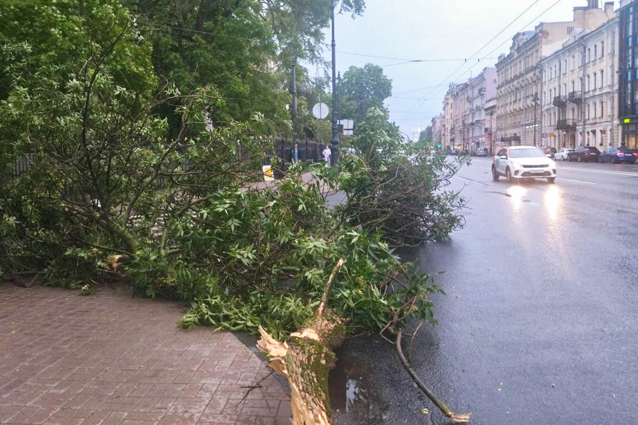 В МЧС сообщили подробности устранения последствий урагана в Санкт-Петербурге