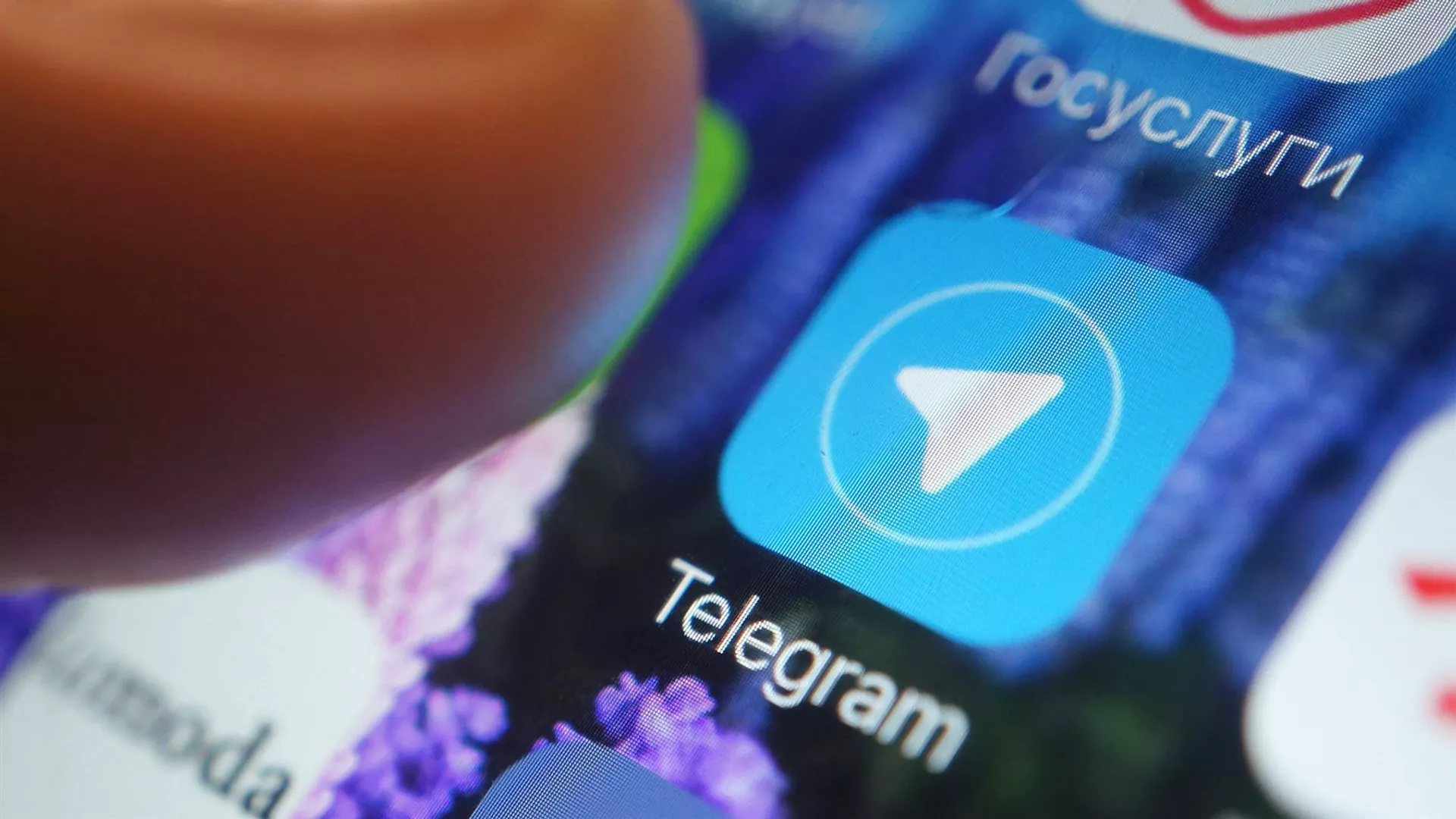 Figaro: Telegram начал отвечать на запросы Франции и других стран