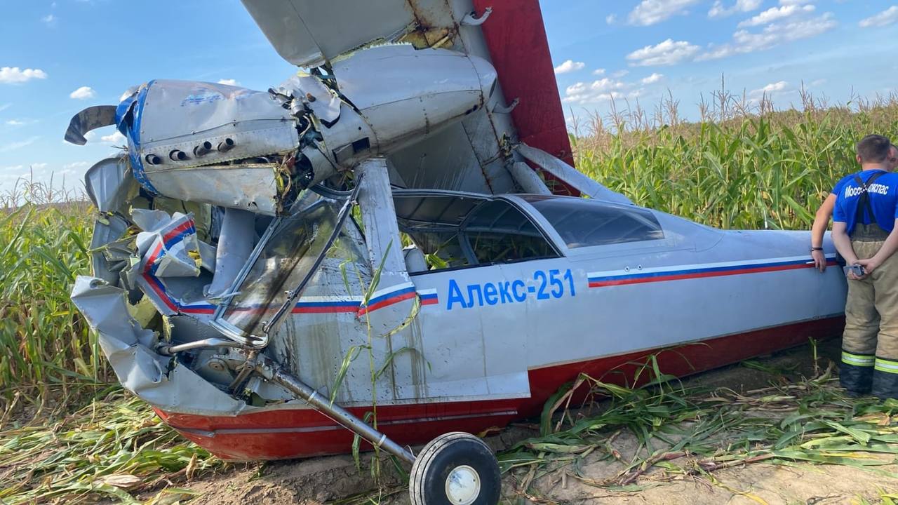 Стало известно, кто управлял разбившимся в Подмосковье самолетом