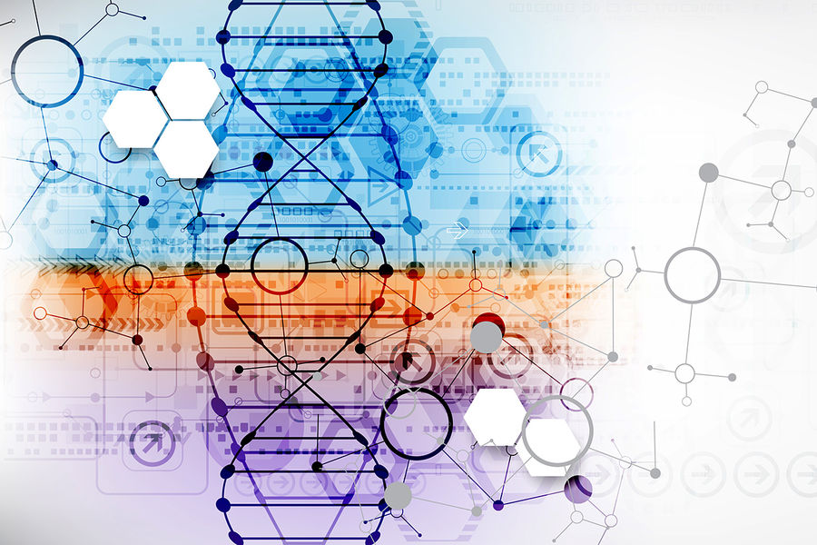 Current Biology: в зубах львов-людоедов из XIX века нашли человеческие волосы