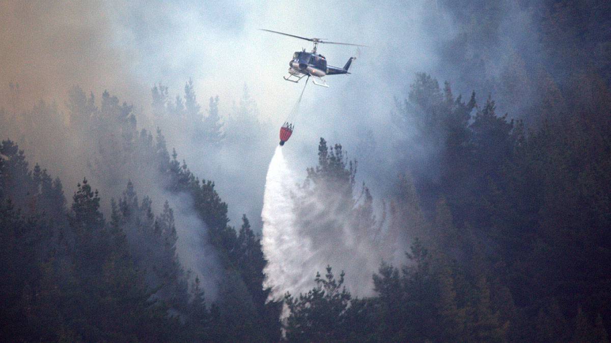 Площадь пожара в Крыму увеличилась в три раза, составив 45 гектаров