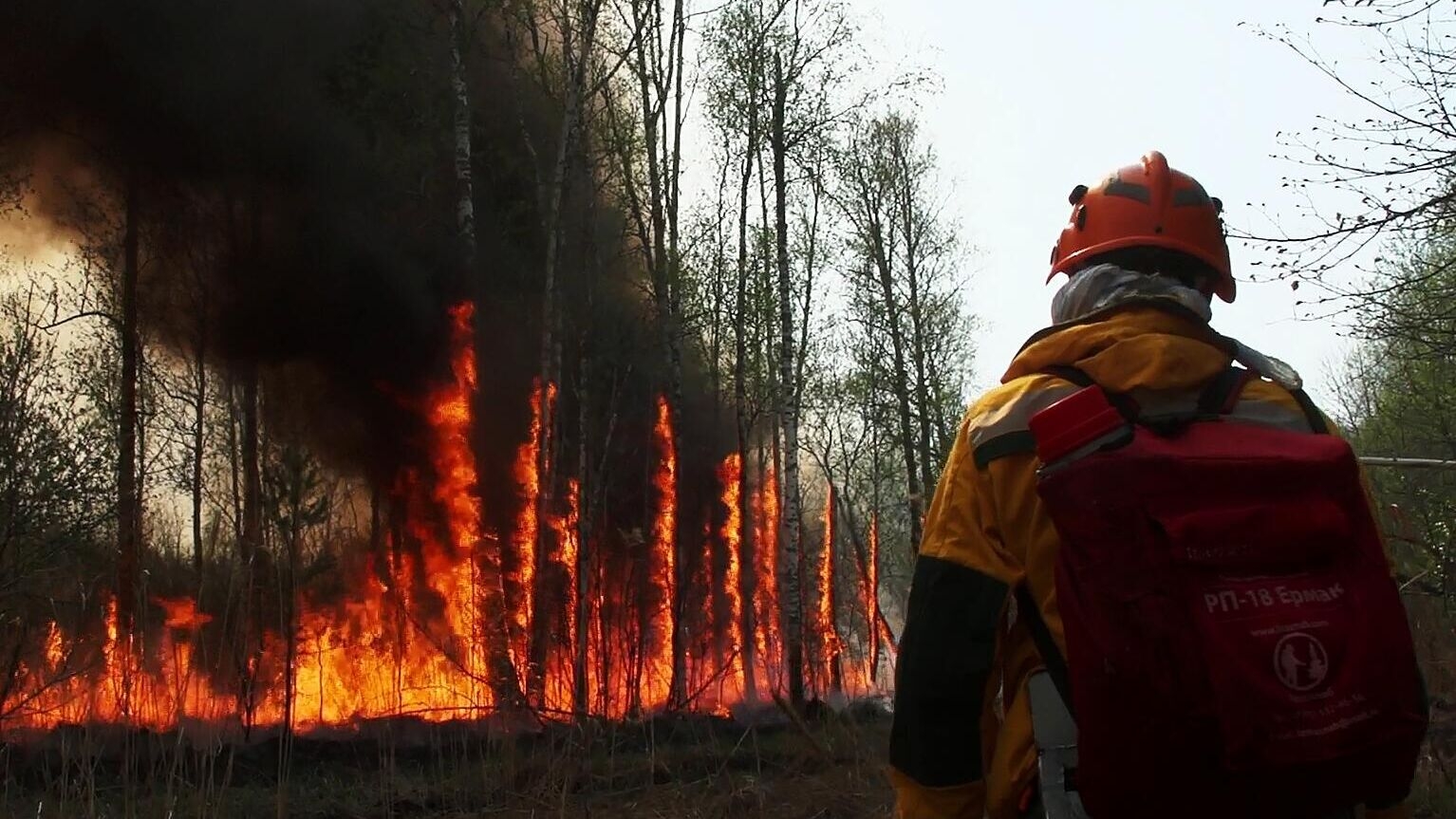 В Воронежской области начался крупный пожар