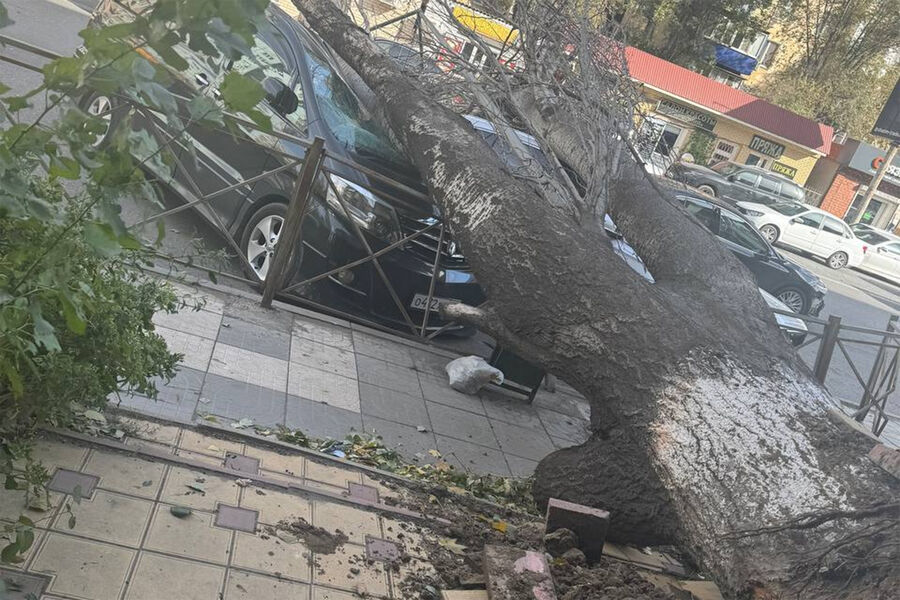 В Махачкале на видео попали моменты разрушения автомобилей из-за урагана