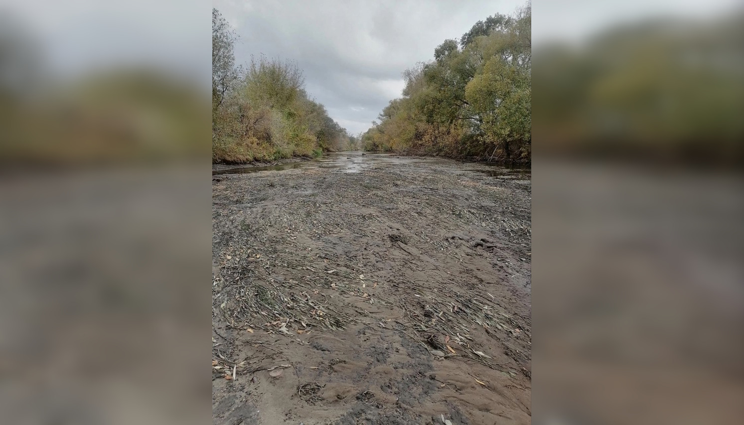 Уровень воды в Сердобе восстанавливается после укрепления основания плотины