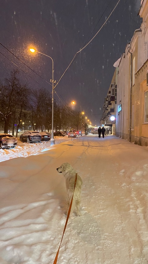 Таких аномалий не было с 1722 года: синоптики дали новый прогноз на зиму, ошарашив жителей России