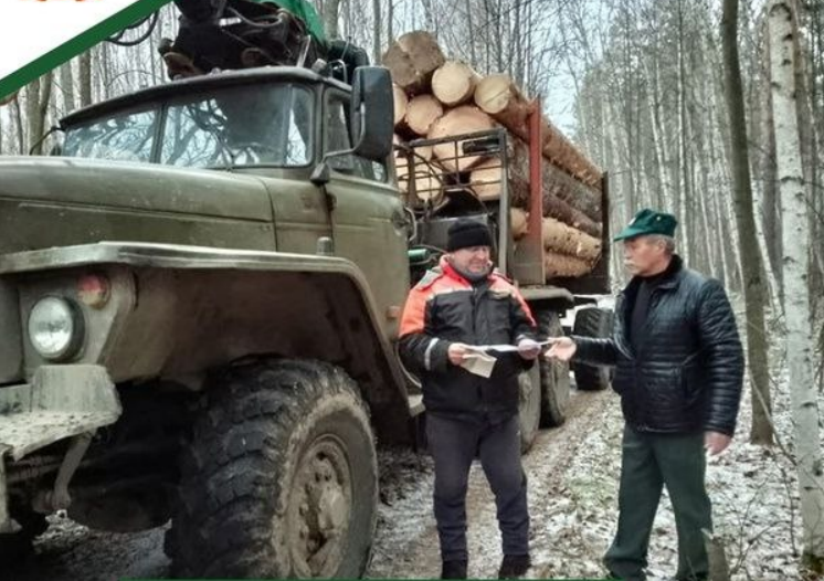 В Пензенской области за месяц в ходе операции Лесовоз составили 11 протоколов