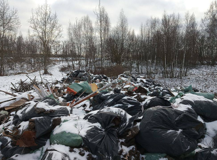 Неизвестные устроили несанкционированную свалку в Нижнеломовском районе