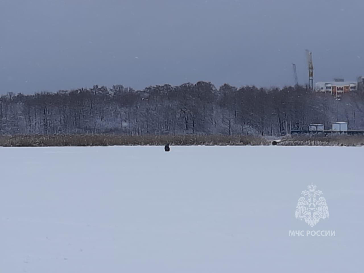 В Лунинском районе во время рыбалки утонул 72-летний мужчина