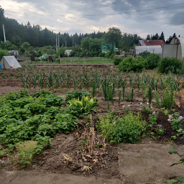 Март с аномальной жарой круто меняет сроки садово-огородных работ: названы новые даты