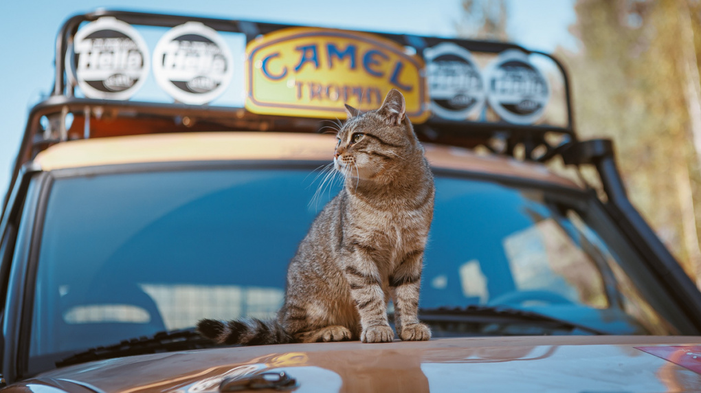 Финальный аккорд Перестройки: тест-драйв того самого Land Rover Discovery с легендарной Camel Trophy