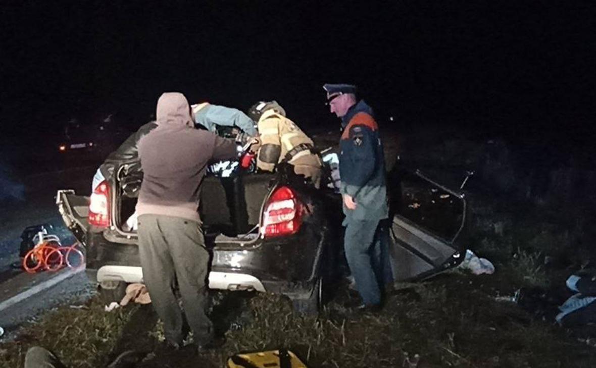 В ДТП с лосем под Омском погибли четыре человека