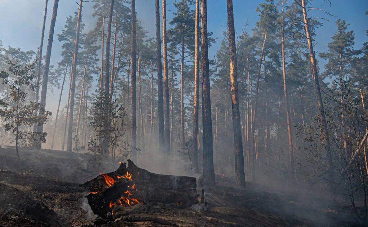 Власти Киева сообщили об ухудшении воздуха в городе из-за лесных пожаров