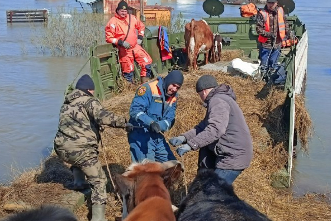 Уволен чиновник, назвавший пострадавших от паводка в Омской области клоунами