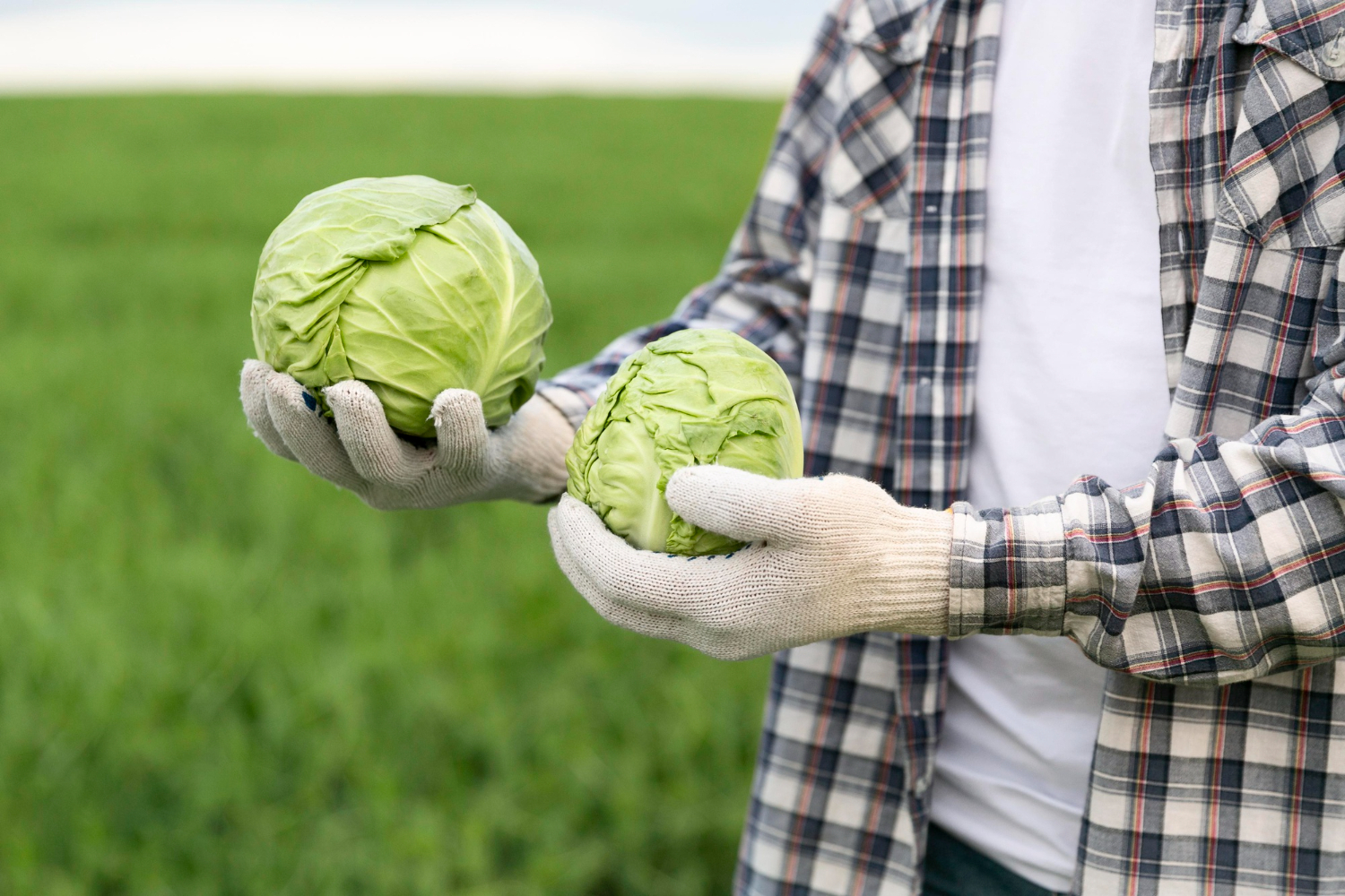 Врач перечислила три группы продуктов против хронического воспаления