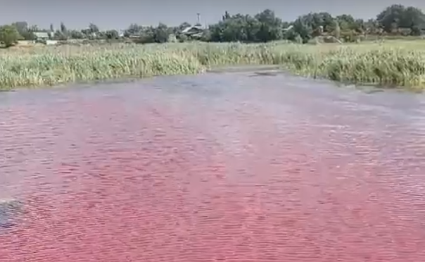 v1.ru: в Волгоградской области вода в реке стала красного цвета