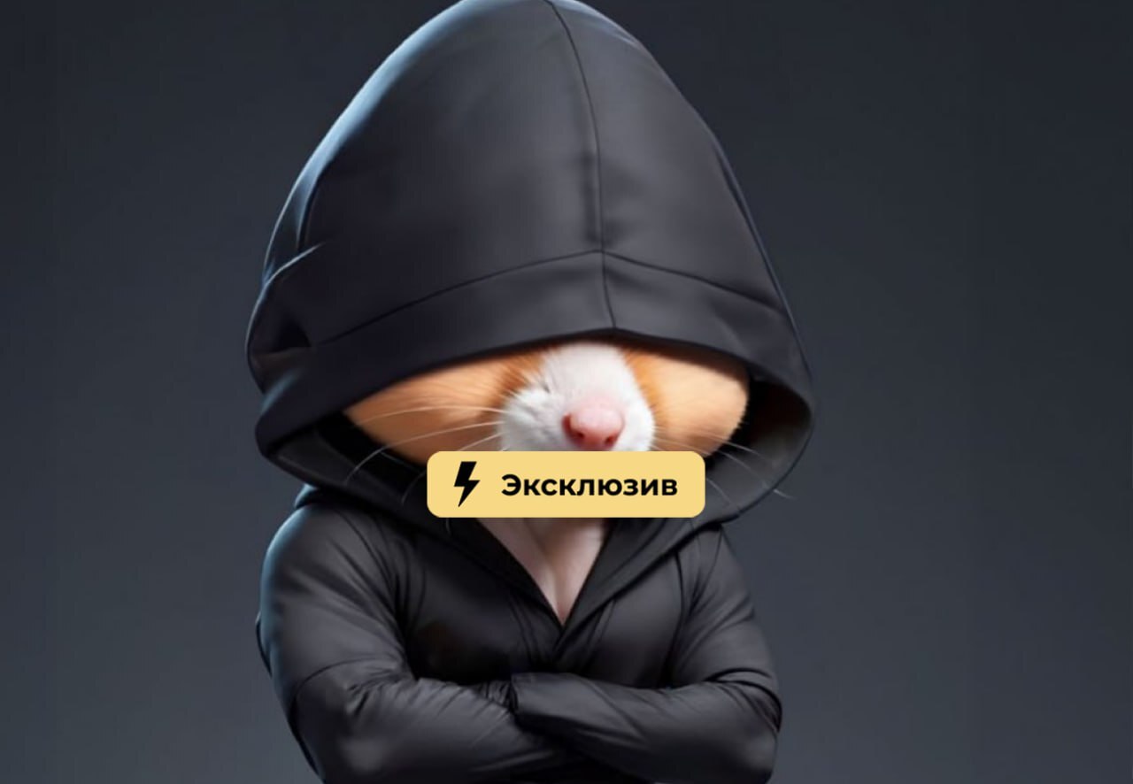 Сбавьте TON. Что будет с криптовалютой и Hamster Kombat из-за ареста Дурова