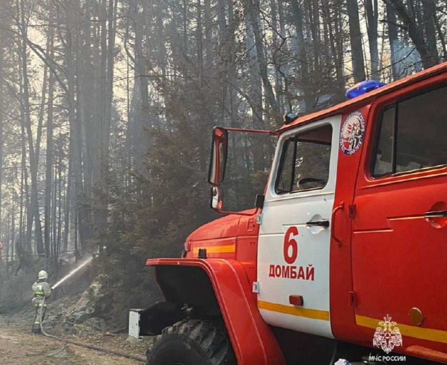 МЧС КРЧ: из зоны лесного пожара вывезено 236 человек, из них 43 ребёнка