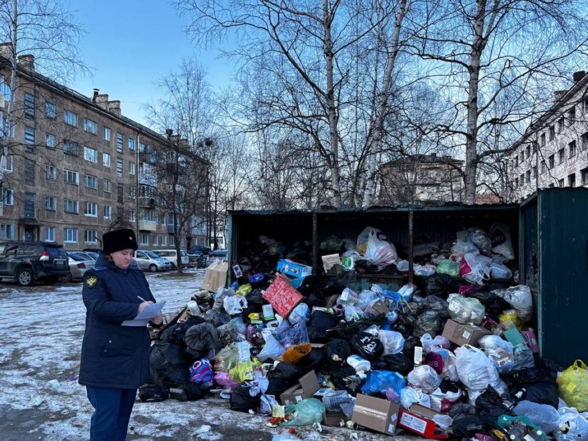 В Приморье депутат обвинил мошенников в оскорбительном комментарии от его имени