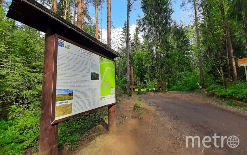 Природа  это дорожающий ресурс: зачем ввели плату за посещение 5 заказников в Ленобласти