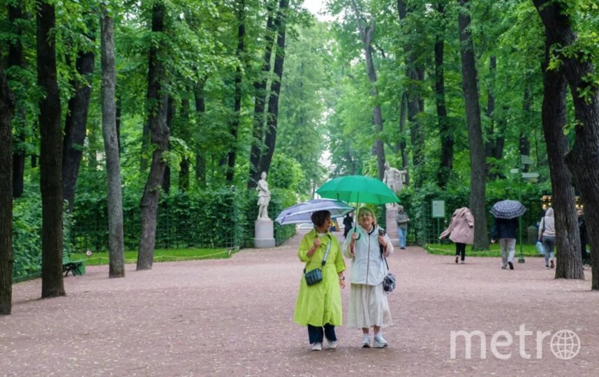 Синоптик Колесов: атмосферный фронт подпортит погоду в Петербурге в День России