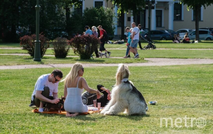 До плюс 29 и солнечно: четверг в Петербурге будет жарким