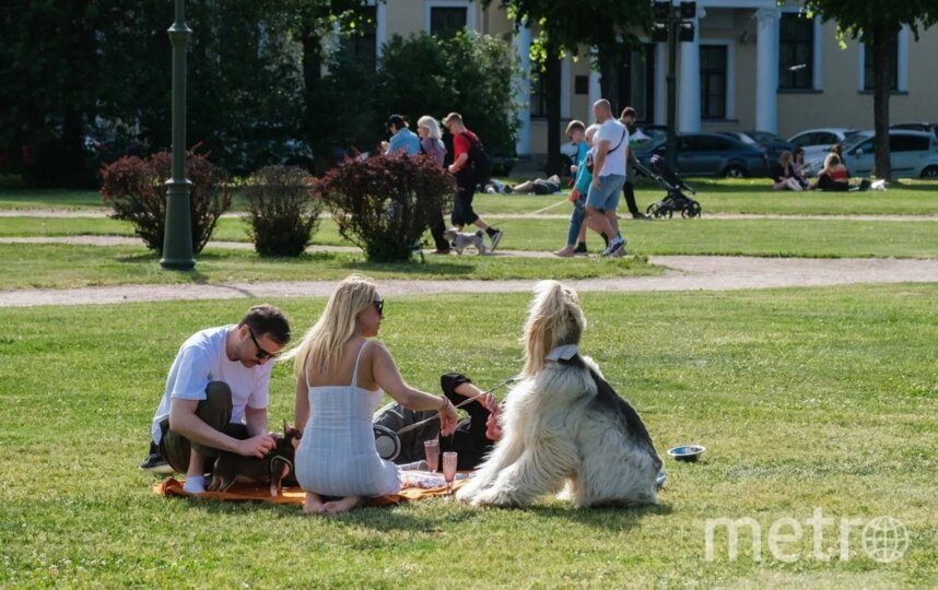 В четверг антициклон принесёт Петербургу теплую погоду