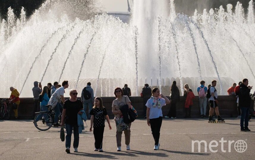 В Петербурге отремонтируют дорогу к парку 300-летия