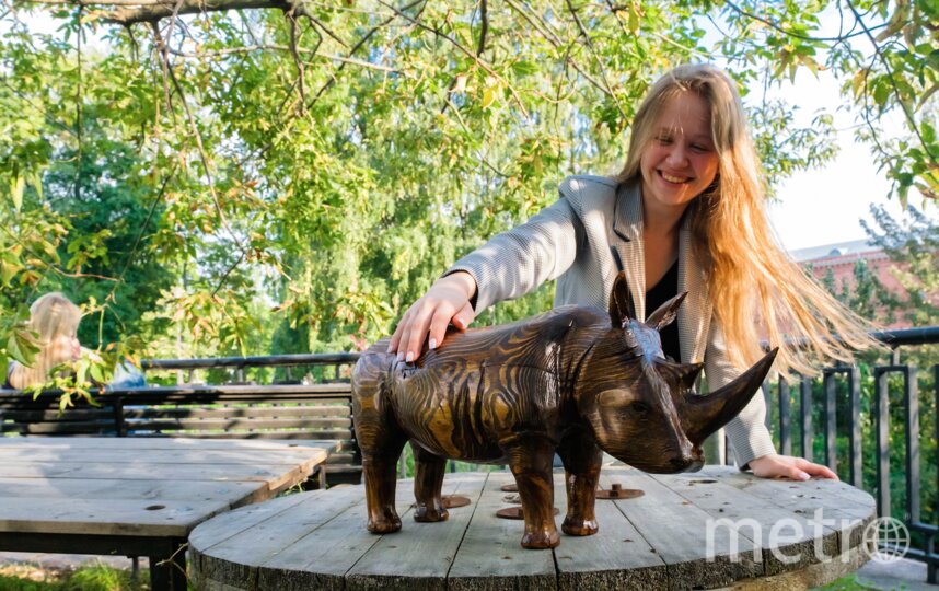 Деревянный носорог сыграет в спектакле на сцене Балтийского дома