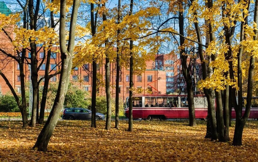 Солнечно, но прохладно. Синоптик рассказал о погоде в Петербурге во вторник