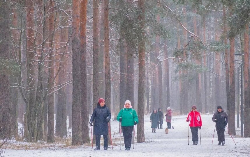 Облачно и снежно. Какую погоду ожидать петербуржцам в это воскресенье