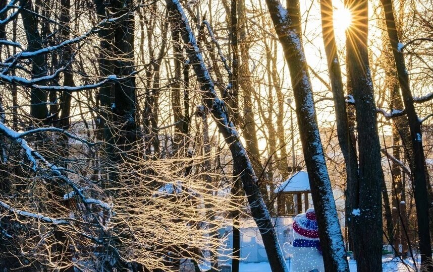 Во вторник температура в Петербурге будет вновь выше нормы