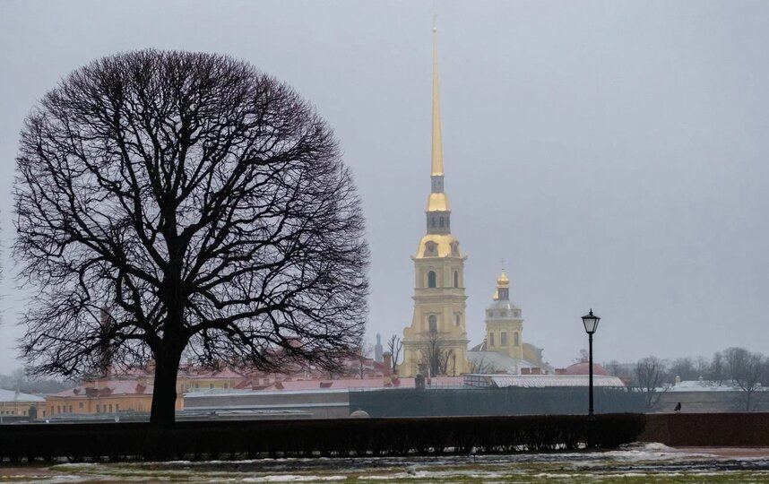 Во вторник в Петербурге пройдут дожди с мокрым снегом