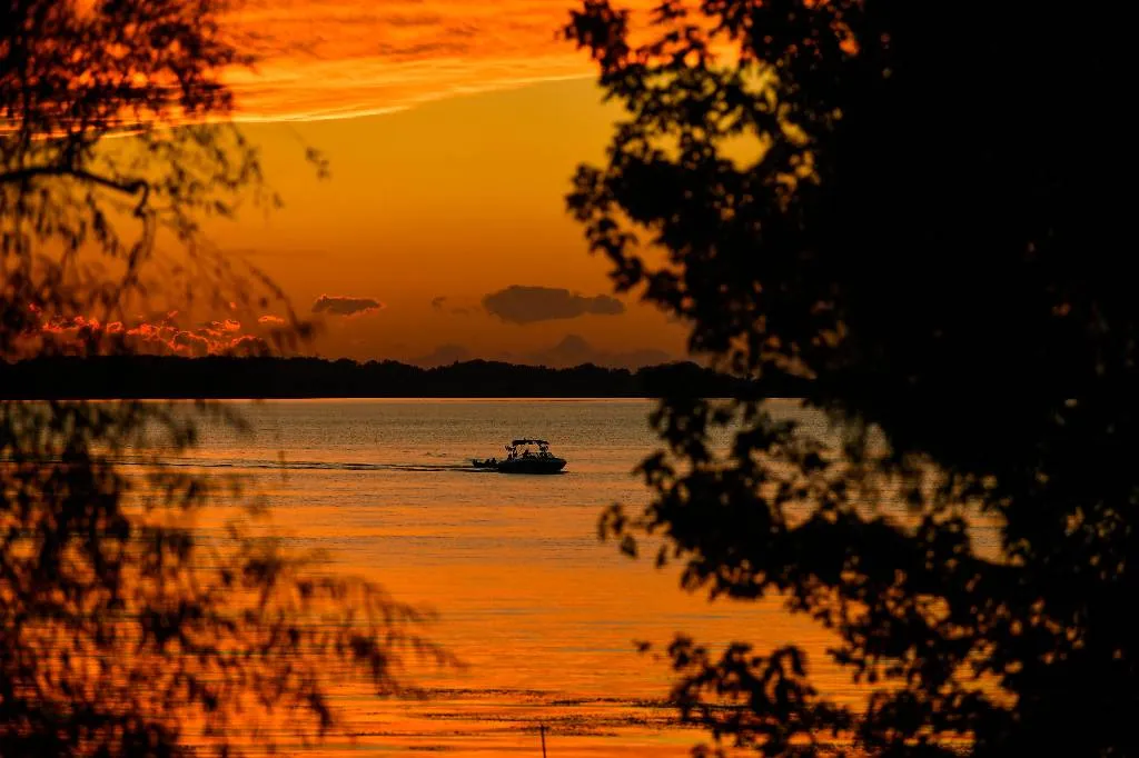 Четырёх украинских «водолазов»-уклонистов выловили из «реки спасения» во время побега в Венгрию