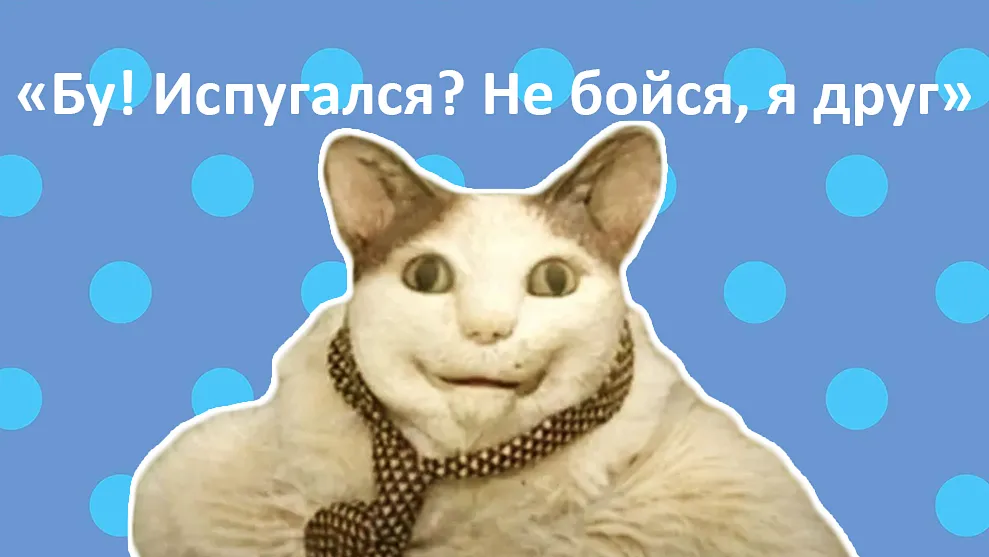 «Бу! Испугался?»: Психолог рассказал, почему мем с жутким котом вызывает у людей панический страх