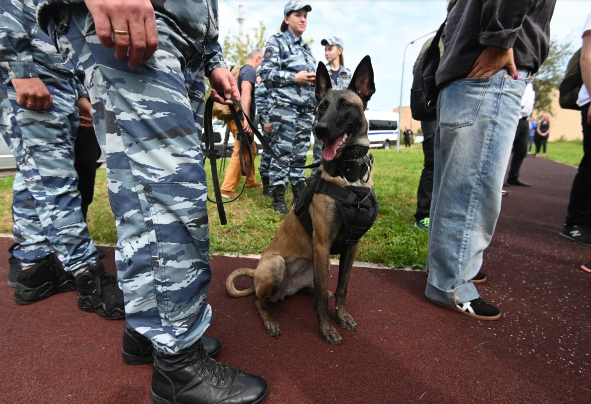 Военные следователи завершили работу над делом о хищении 11 миллионов рублей